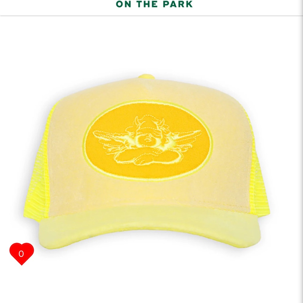 Boys lie trucker hat